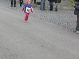 Silvesterlauf 2015