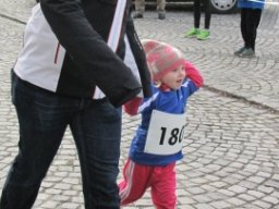 Silvesterlauf 2015