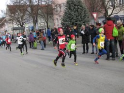 Silvesterlauf 2015